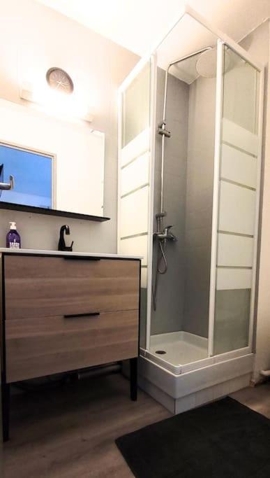 Apartment La Voile Au Lamparo - T2 Climatise - Parking